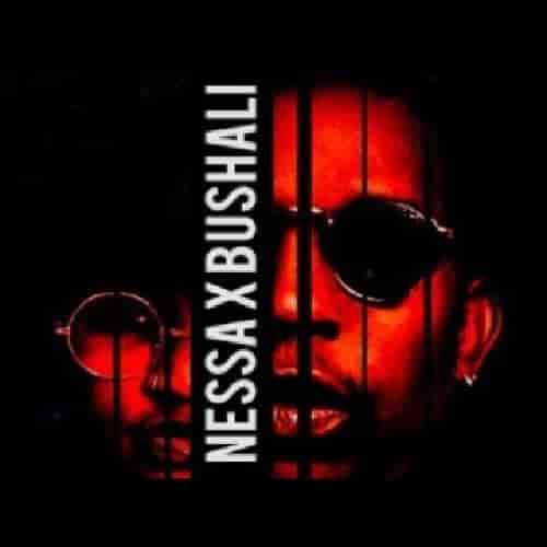 Nessa ft. Bushali - Ikenge MP3 Download Nessa crops up with much energy as she delivers a new Hip-Hop life score, “Ikenge ft. Bushali"