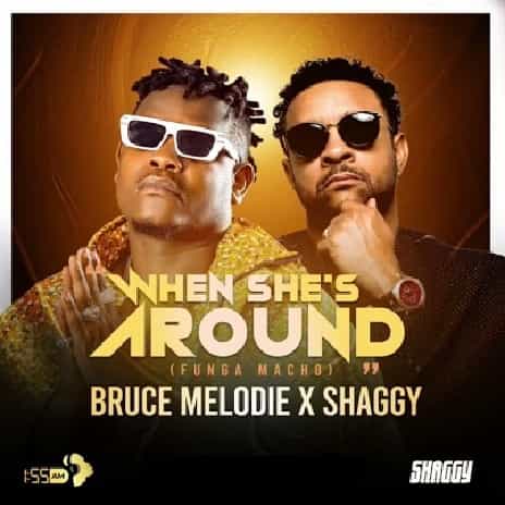 When She’s Around Funga Macho by Bruce Melodie ft Shaggy MP3 Download Audio promises to have the potential to rank